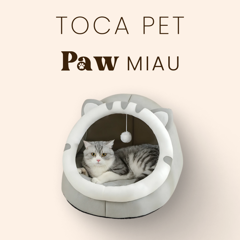 Toca Gato Pet - Paw Miau