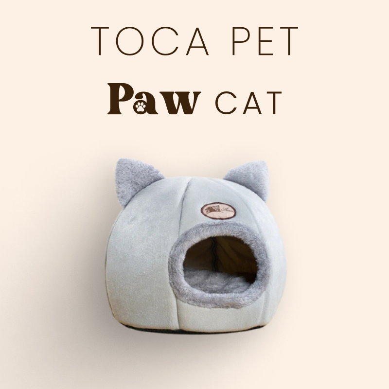 Toca Para Gato - Paw Cat