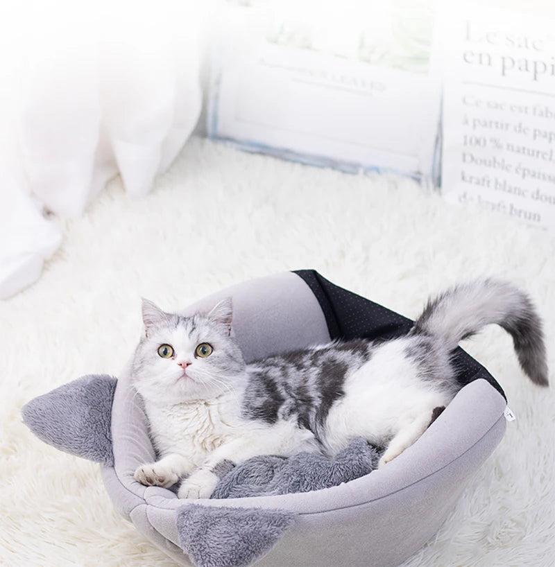 Toca Para Gato - Paw Cat