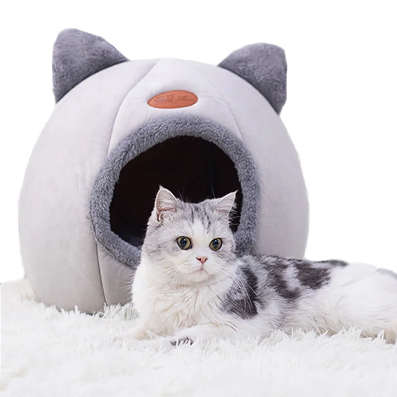 Toca Para Gato - Paw Cat