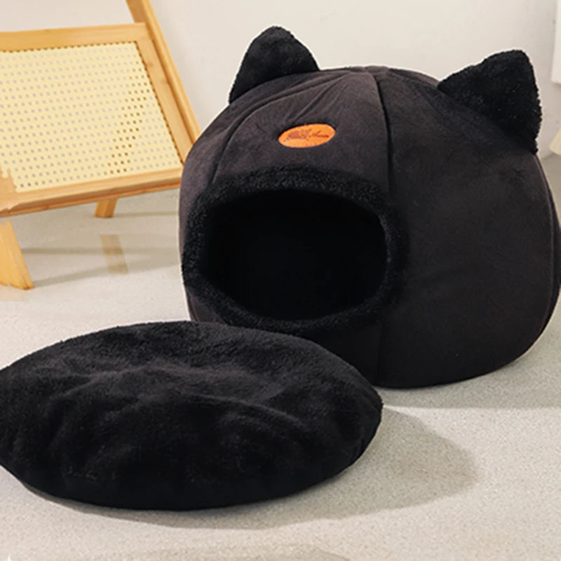 Toca Para Gato - Paw Cat