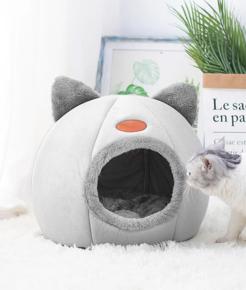 Toca Para Gato - Paw Cat