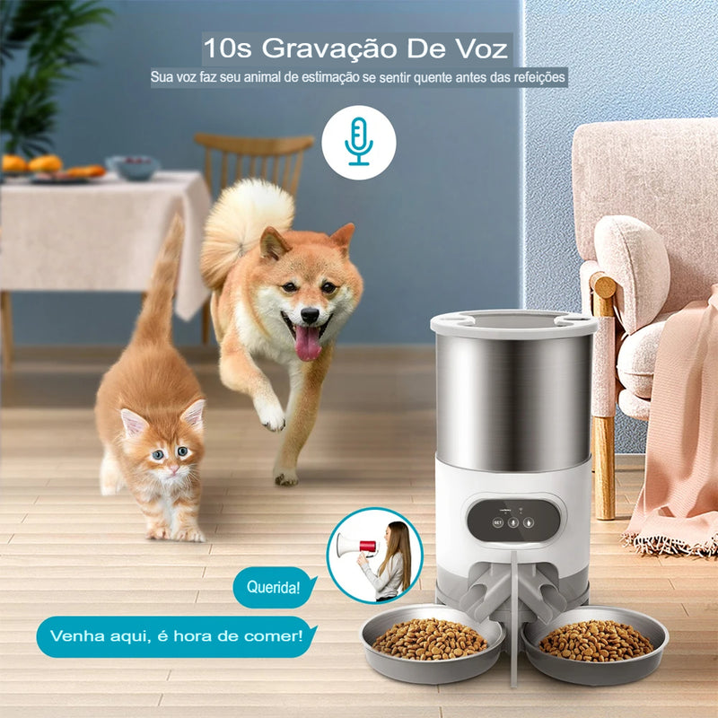 Alimentador Automático - Paw FoodLux