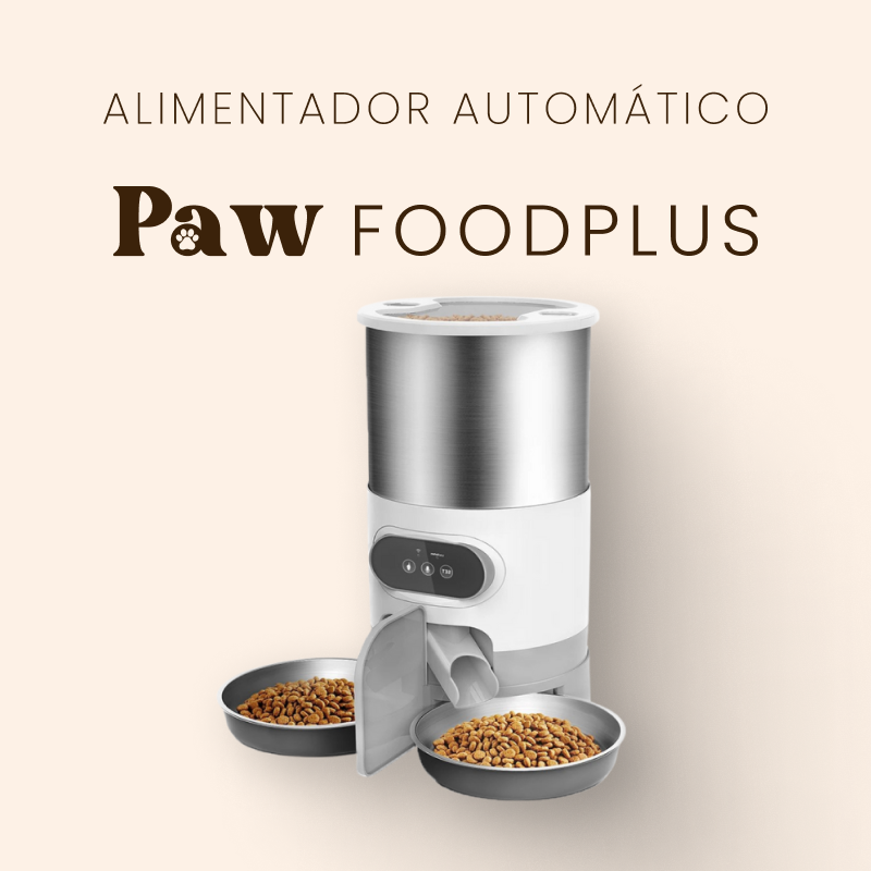 Alimentador Automático - Paw FoodPlus