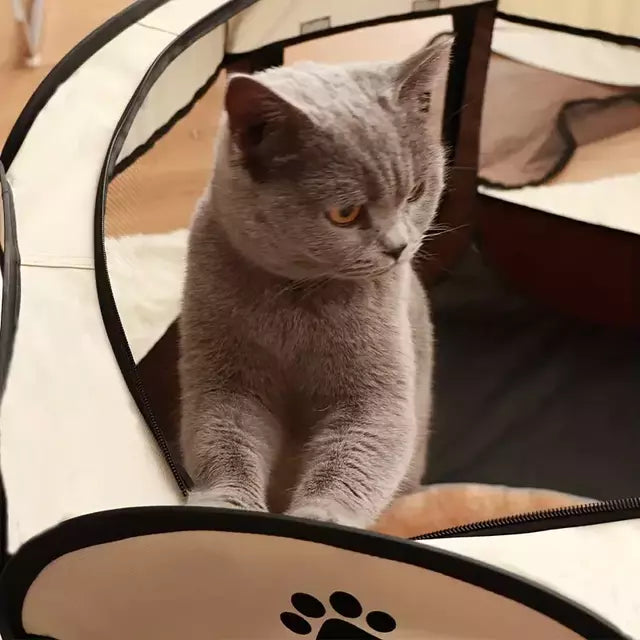 Casa Dobrável - Paw Loft
